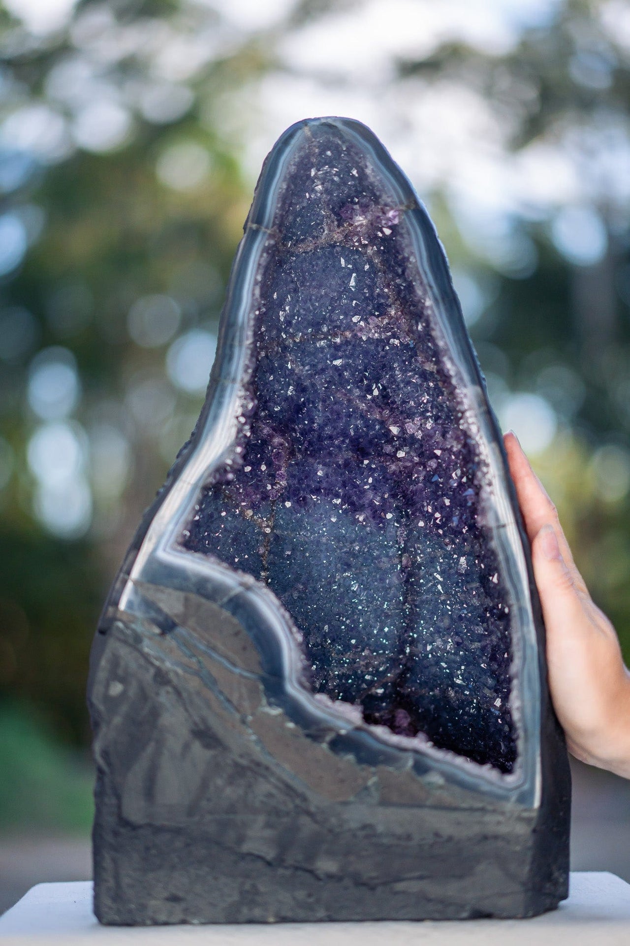 Amethyst Geode of Splendour