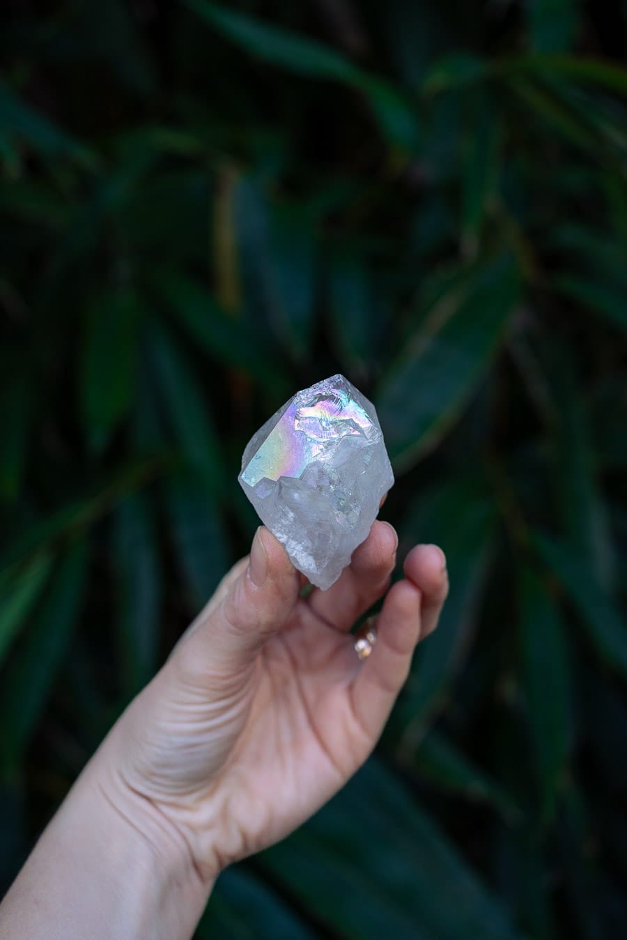 Angel Aura Petite Natural Point