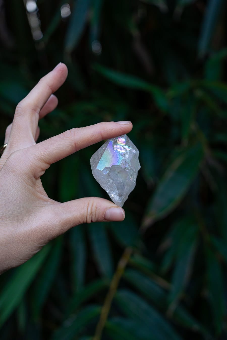 Angel Aura Petite Natural Point