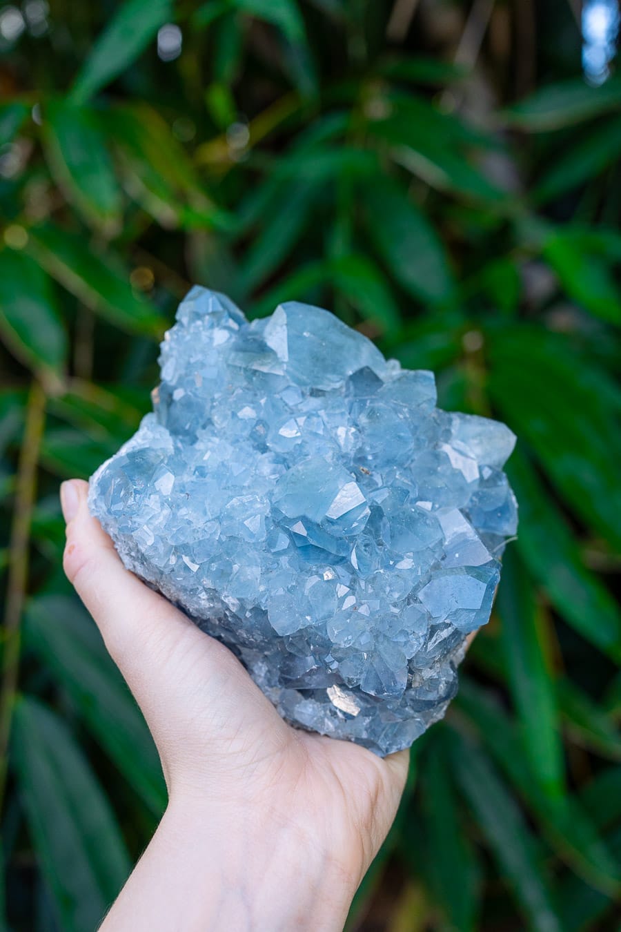 Celestite Cluster