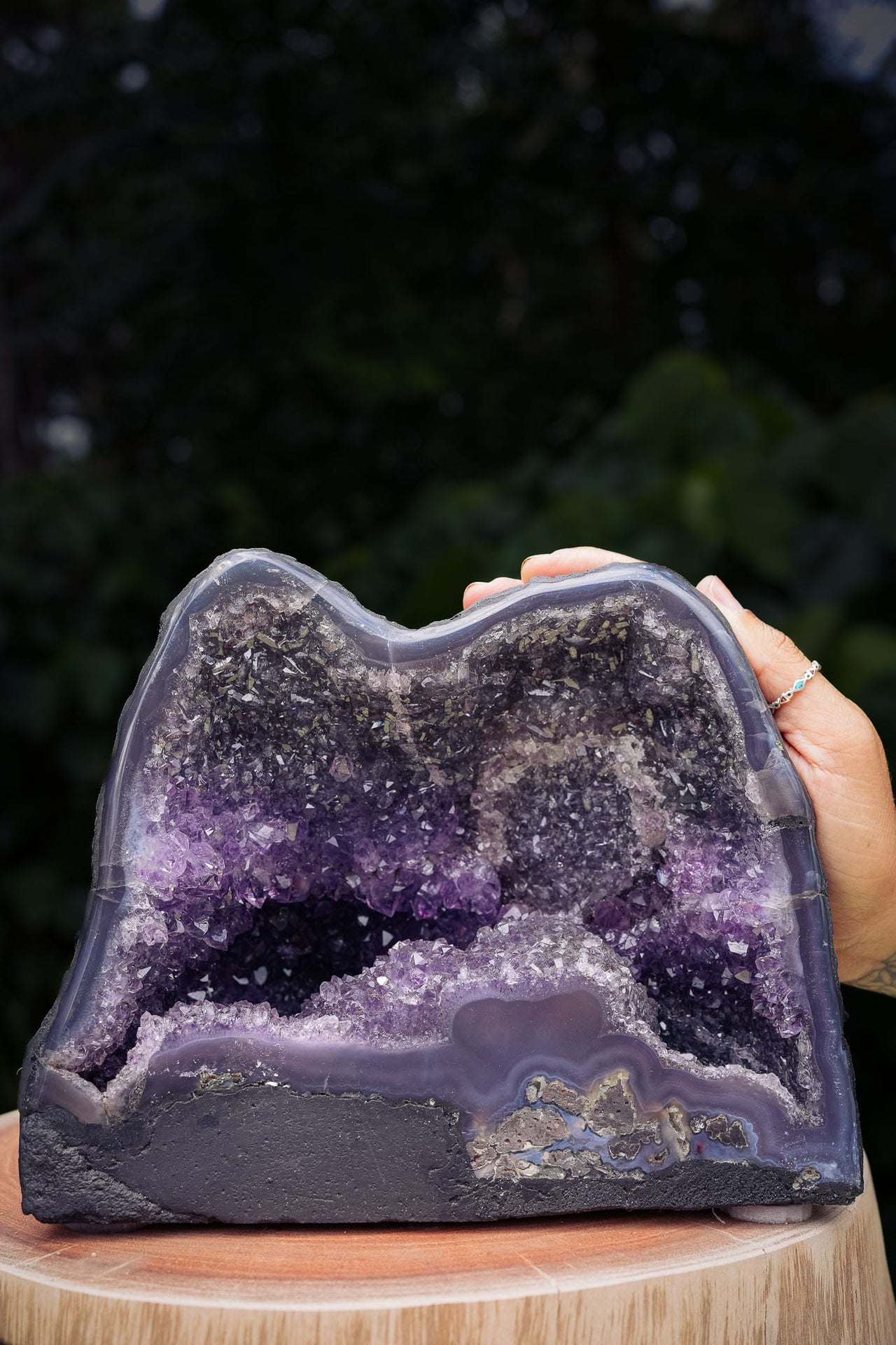 Amethyst Geode of Eternal Wonder