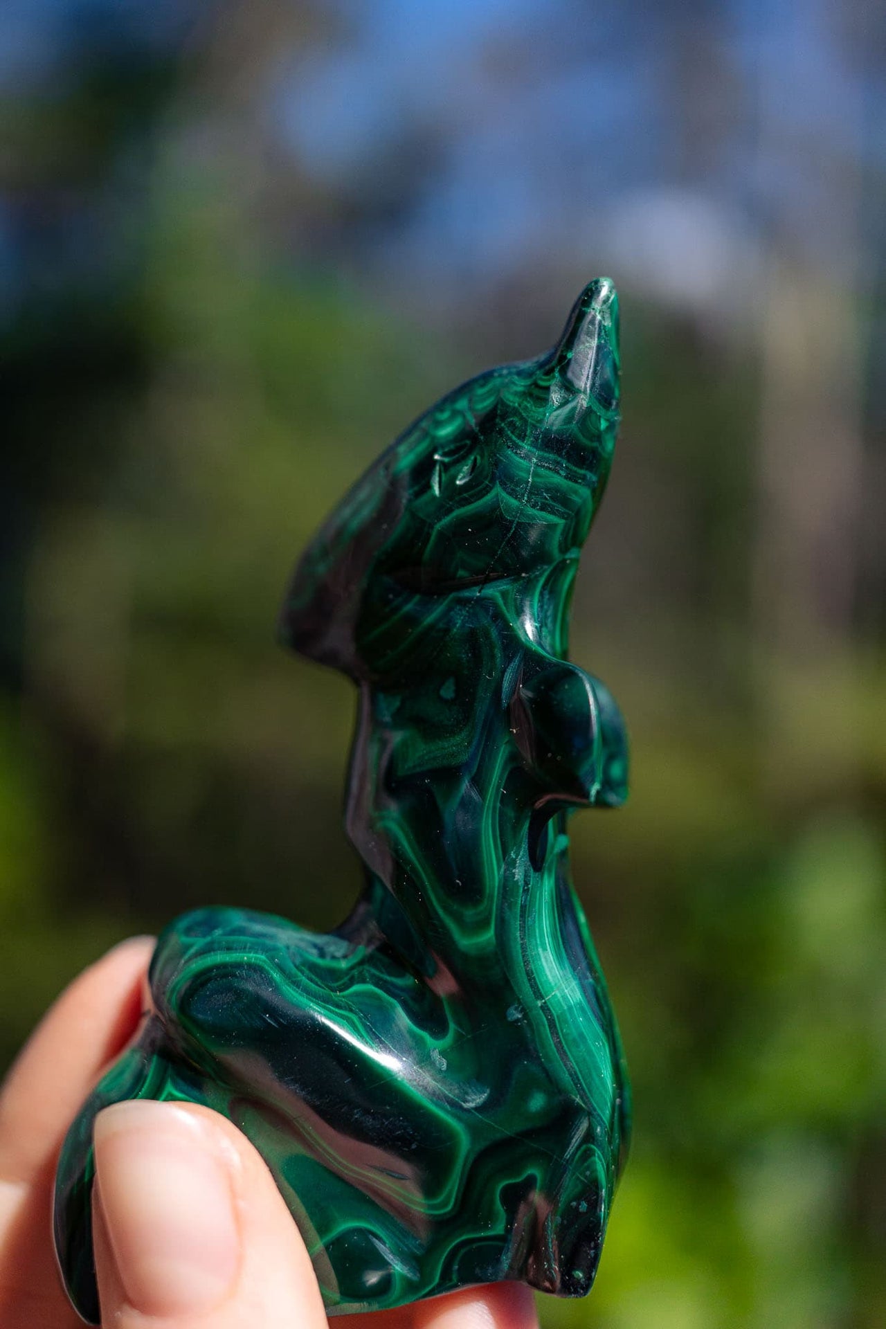 Malachite Dolphin