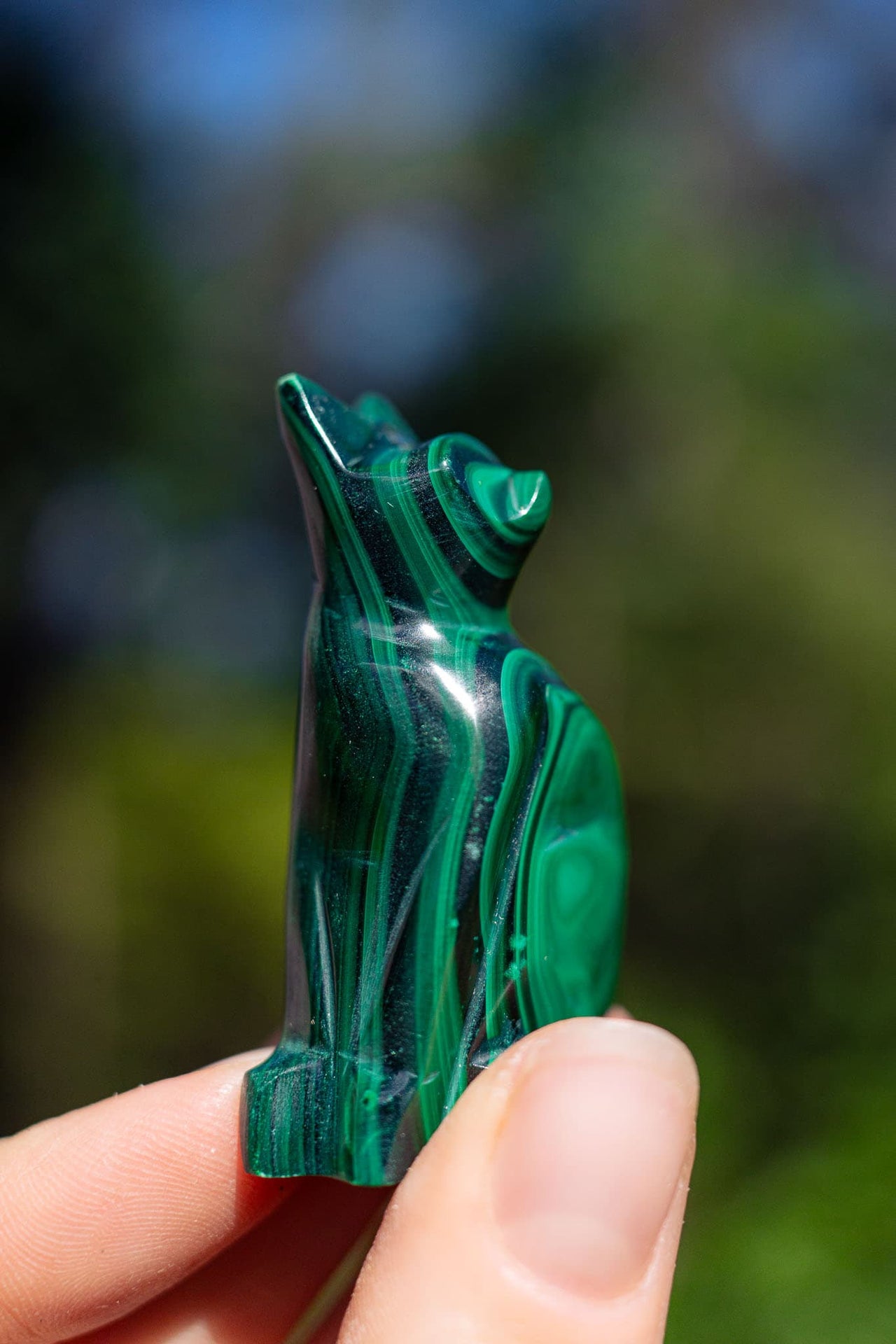 Malachite Cat
