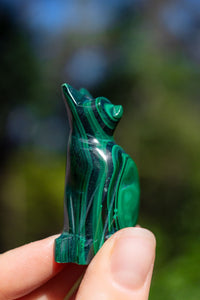 Thumbnail for Malachite Cat