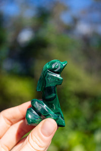 Thumbnail for Malachite Dolphin