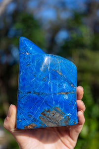 Thumbnail for Large Lapis Lazuli Freeform