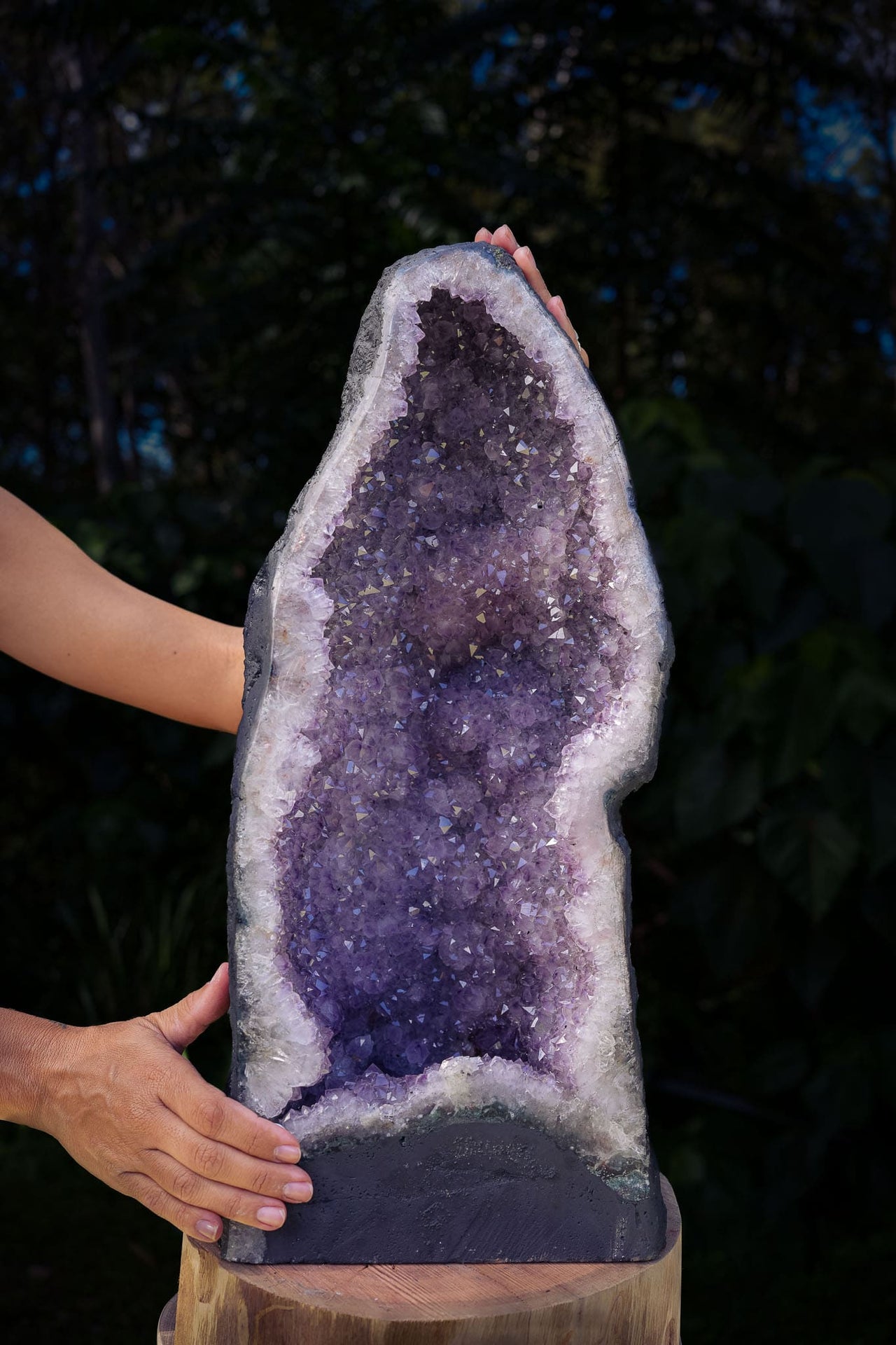 Amethyst Geode of Graceful Beauty