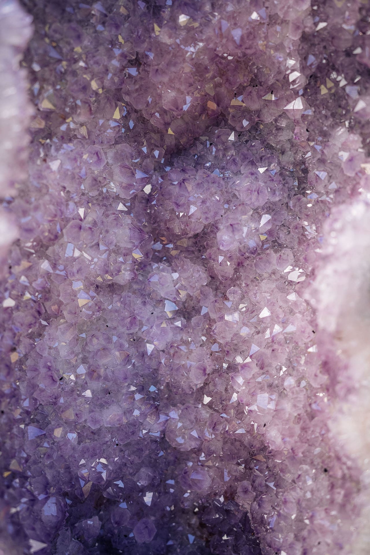 Amethyst Geode of Graceful Beauty