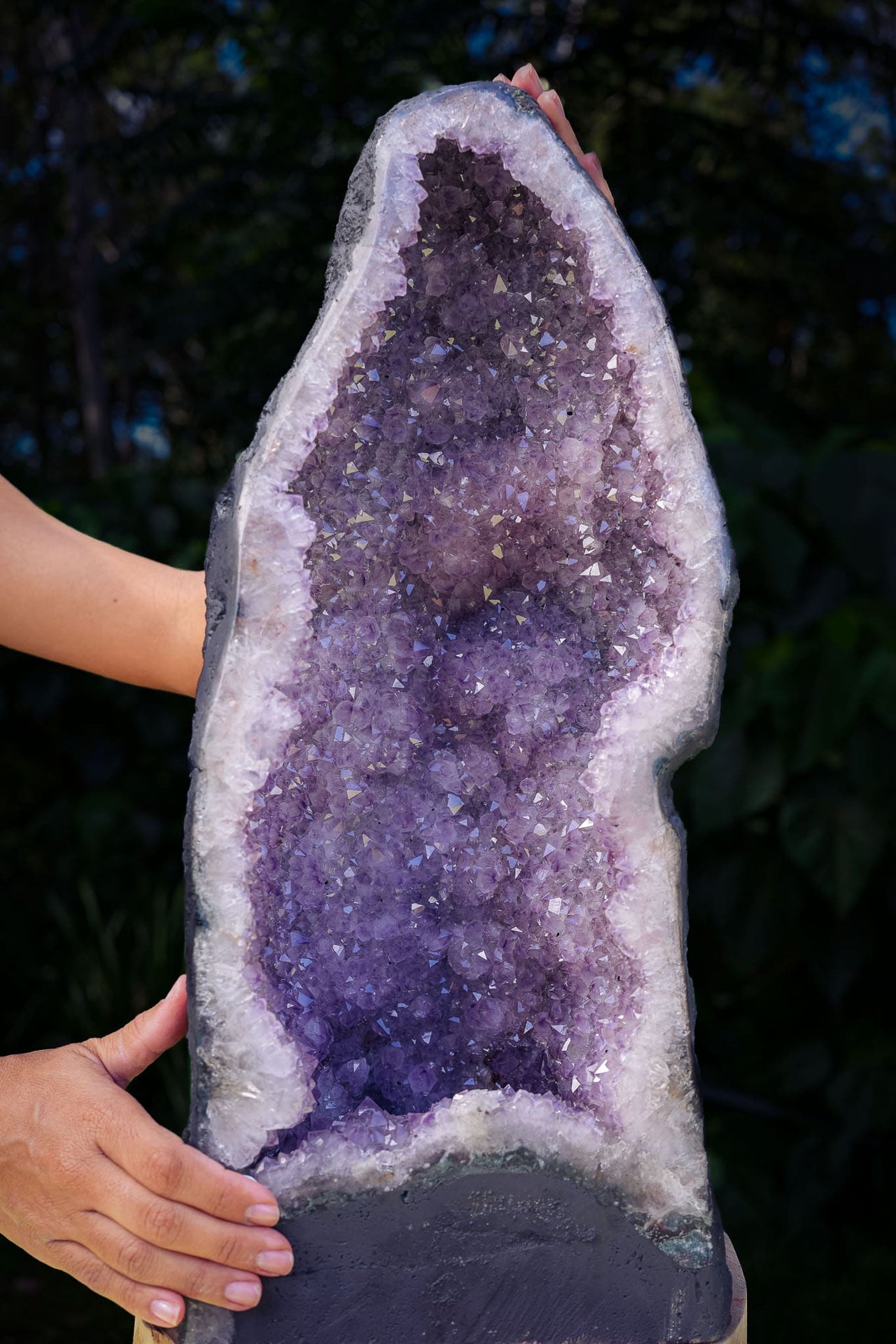 Amethyst Geode of Graceful Beauty