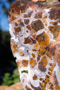 Thumbnail for Ocean Jasper Freeform