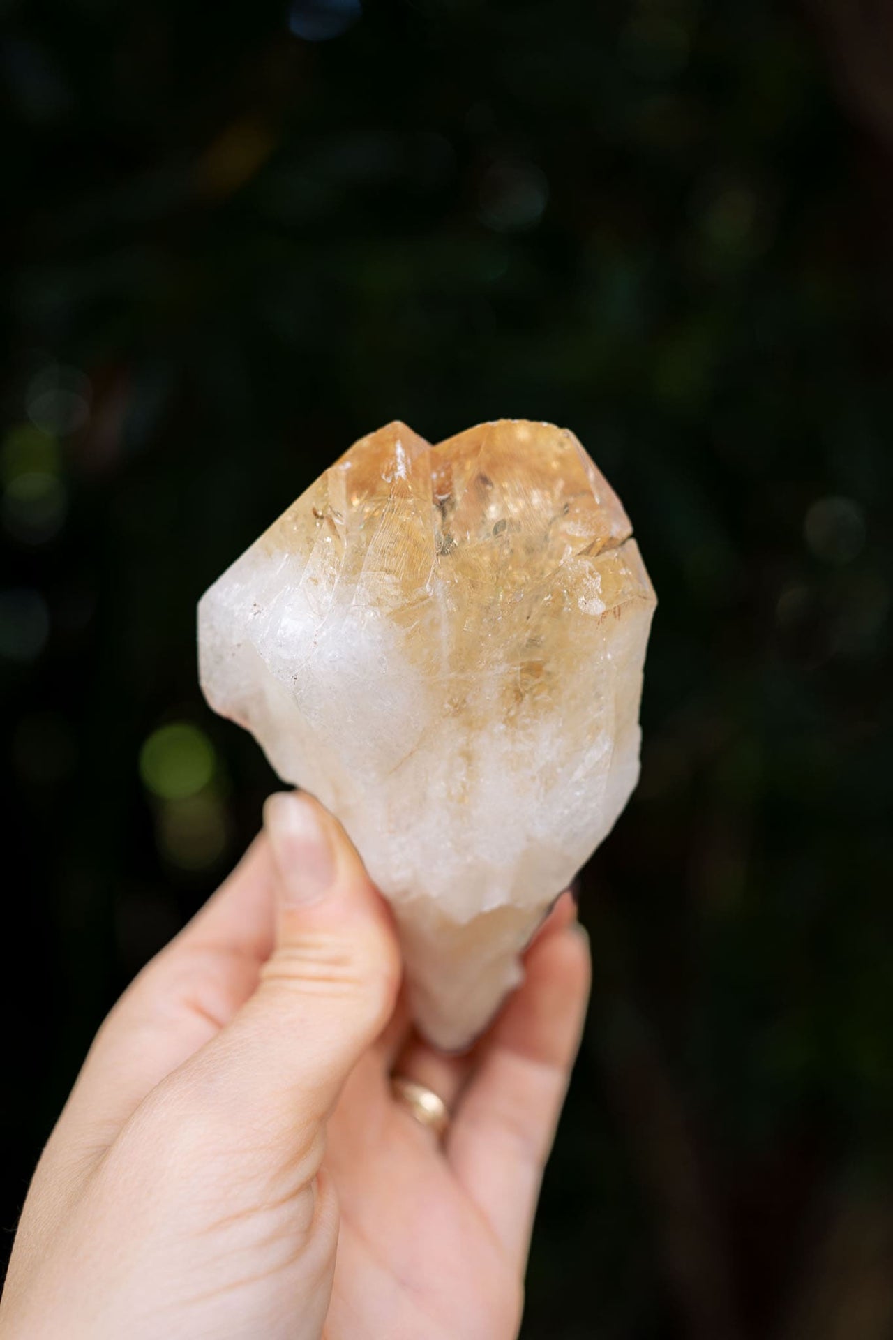 Natural Citrine Point