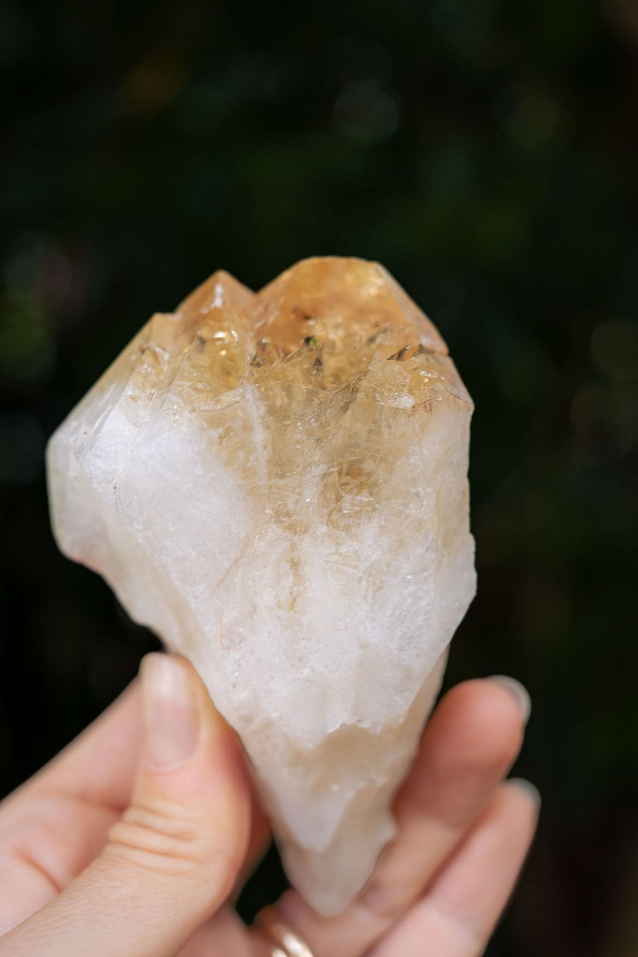 Natural Citrine Point