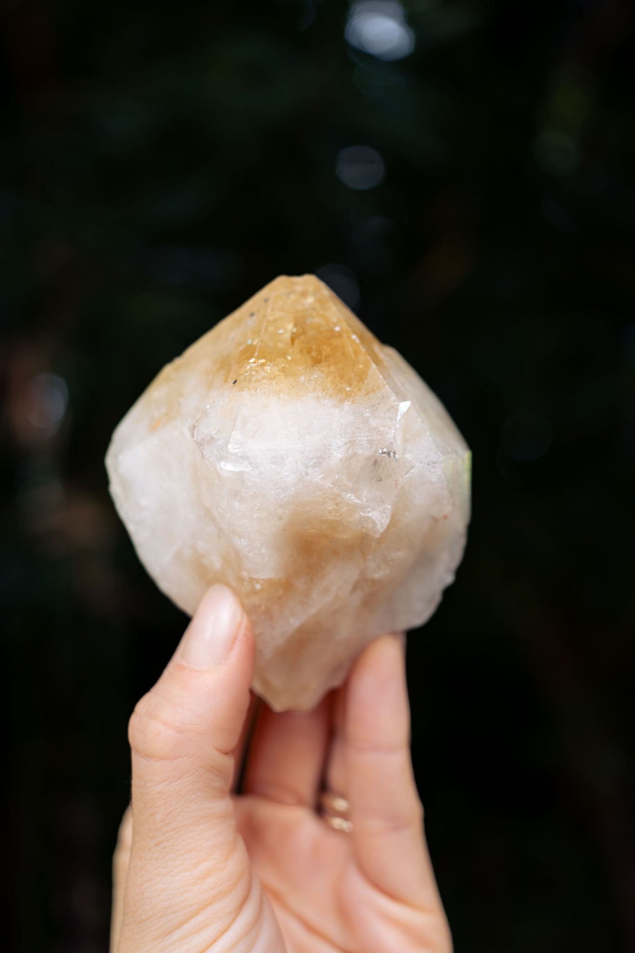 Natural Citrine Point