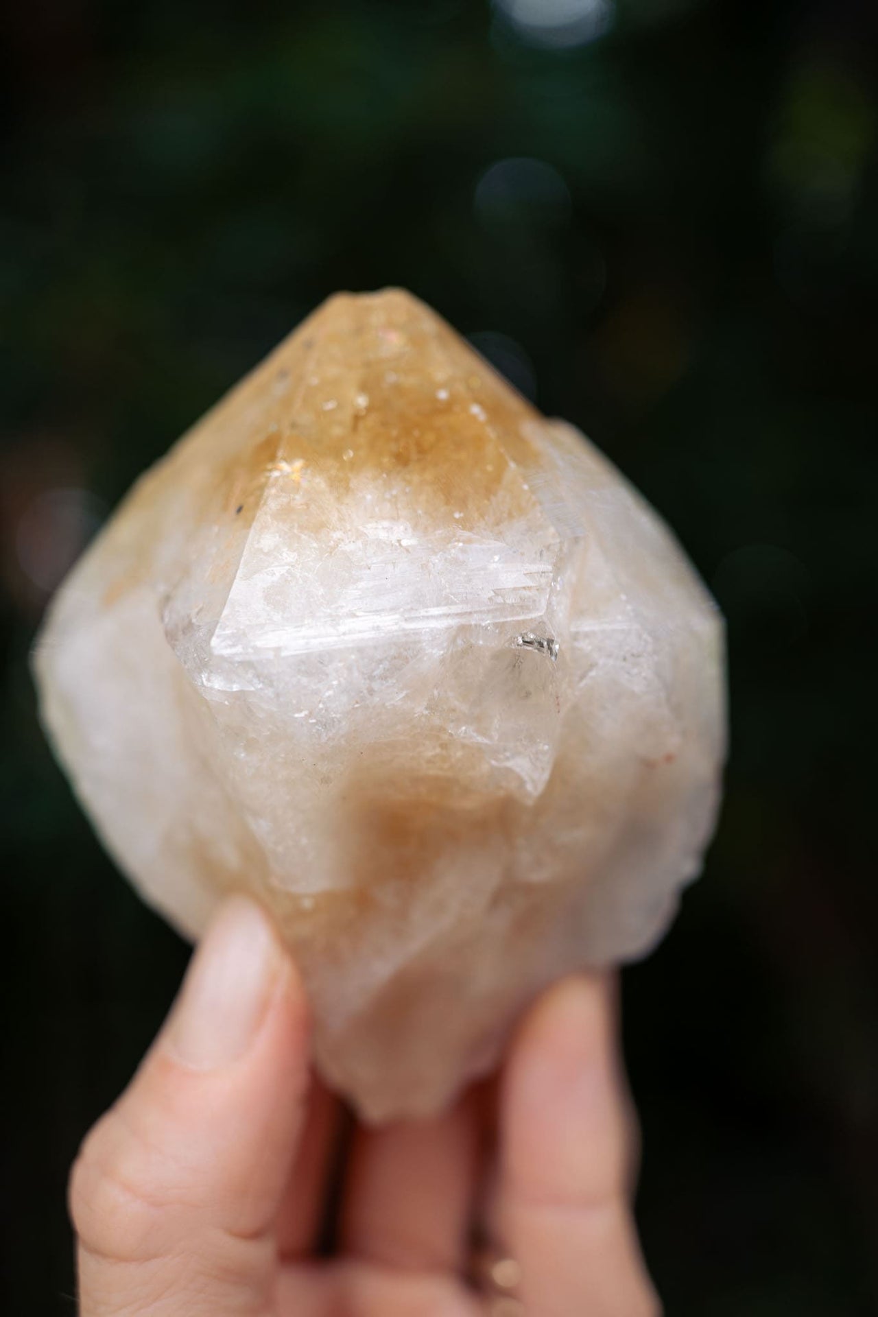 Natural Citrine Point