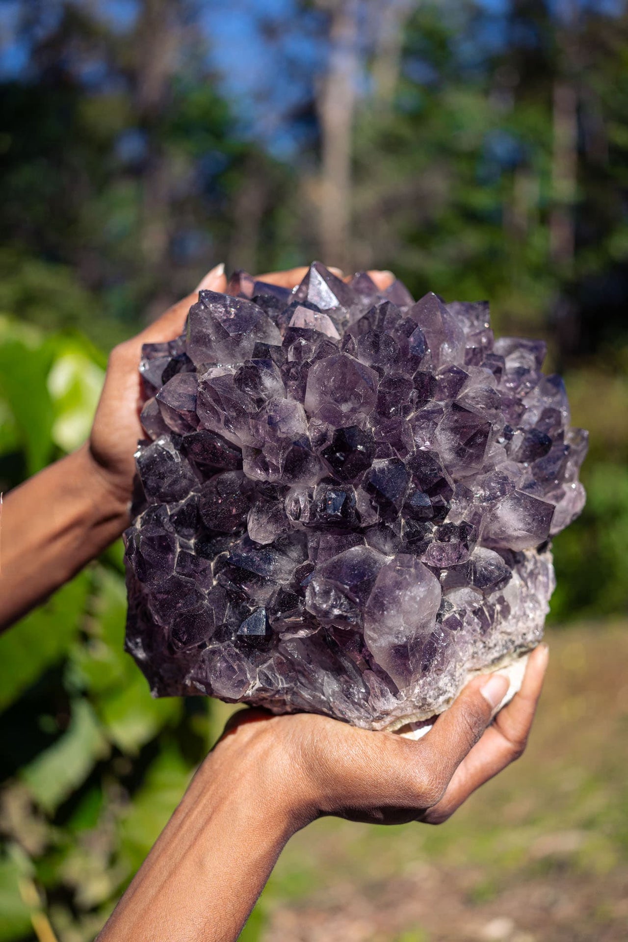 Amethyst Rosette