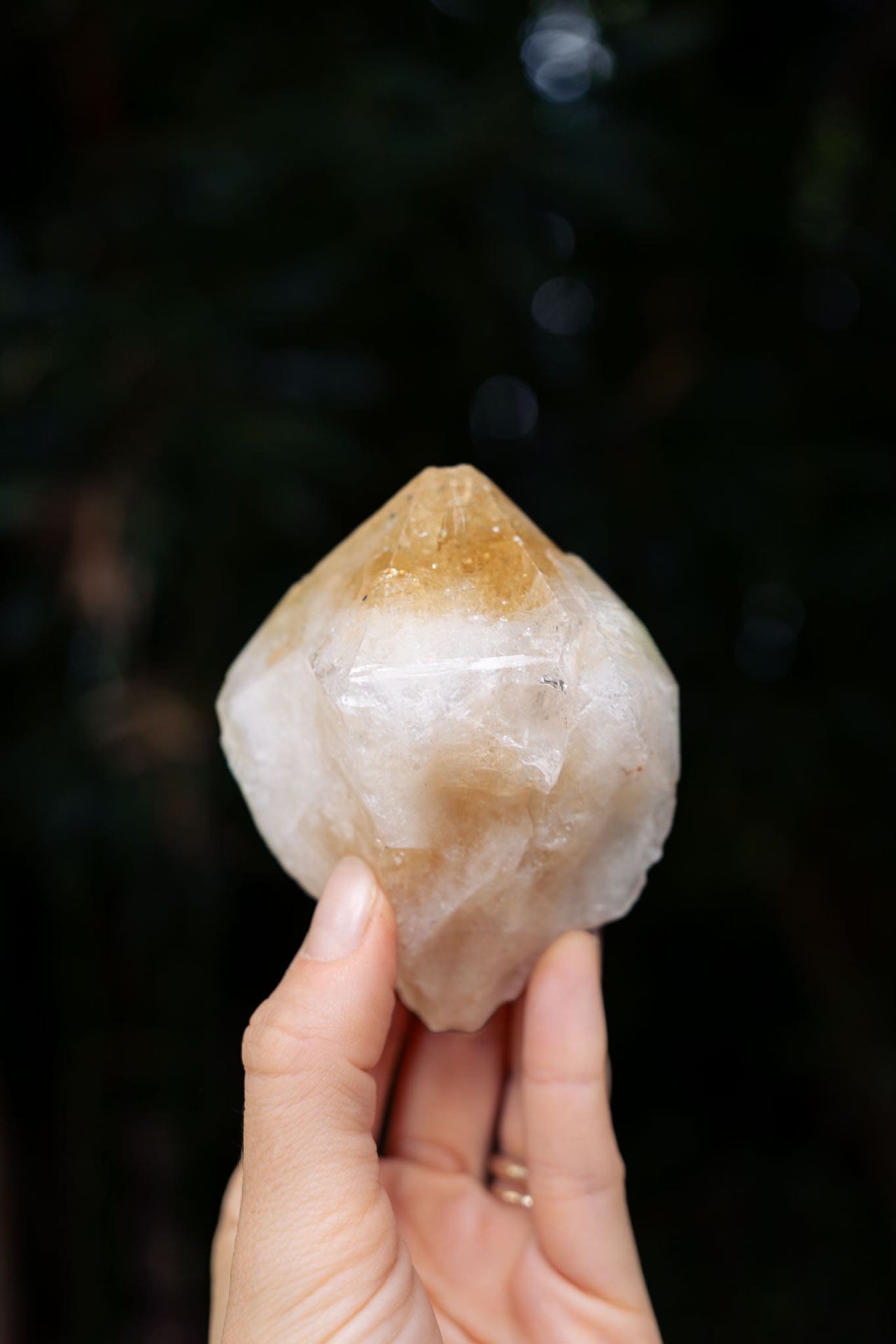 Natural Citrine Point