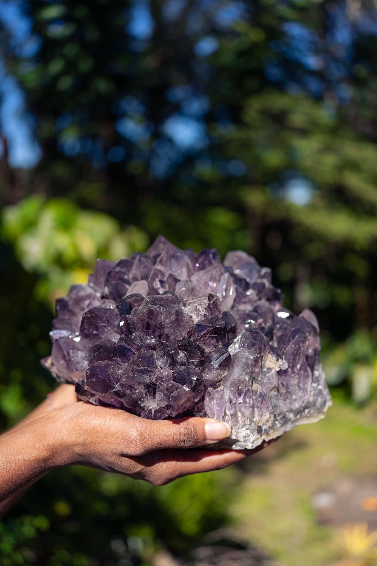 Amethyst Rosette