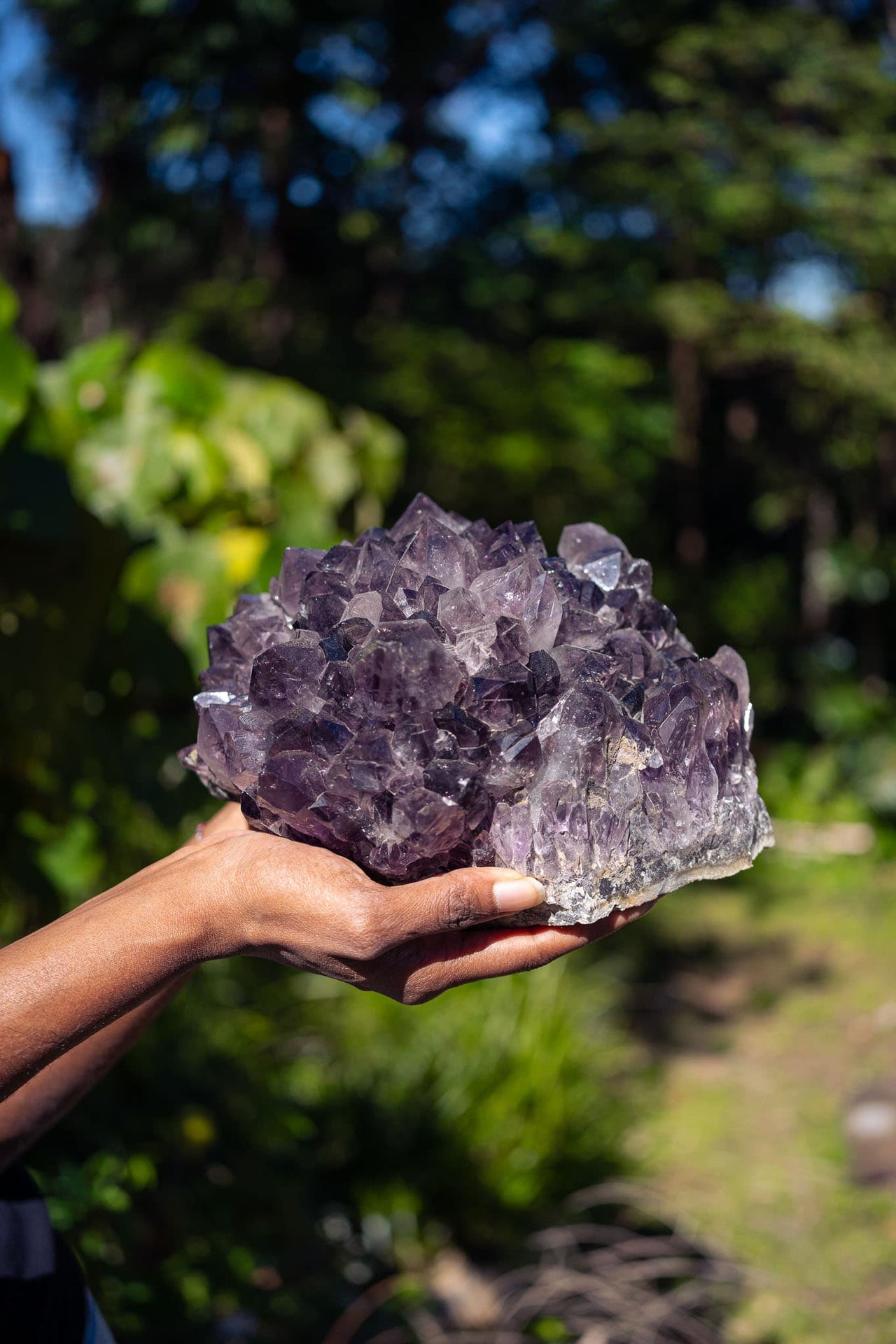 Amethyst Rosette