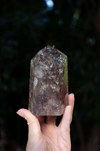 Thumbnail for Polished Smoky Quartz Point