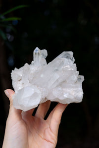 Thumbnail for Arkansas Quartz Cluster