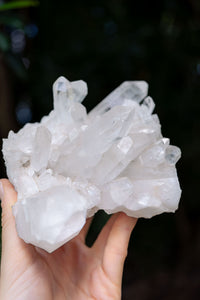 Thumbnail for Arkansas Quartz Cluster