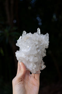 Thumbnail for Arkansas Quartz Cluster