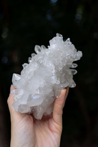 Thumbnail for Arkansas Quartz Cluster