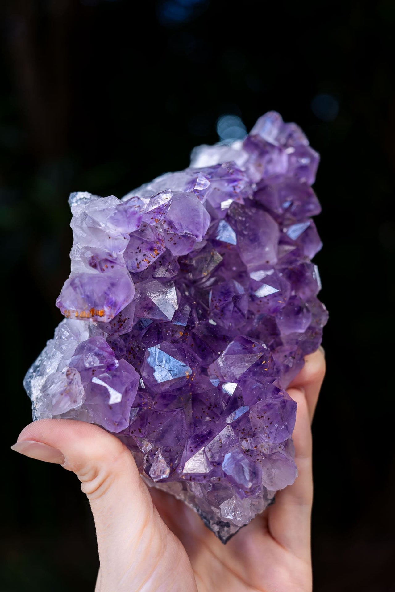 Amethyst Cluster