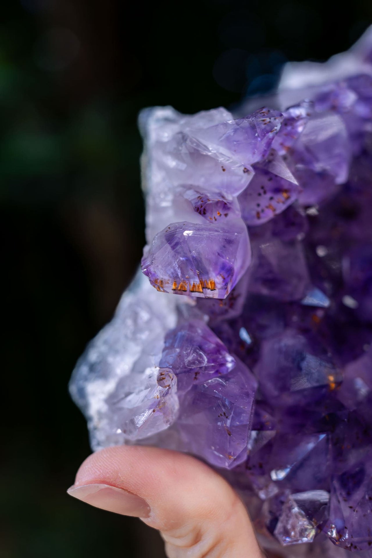 Amethyst Cluster