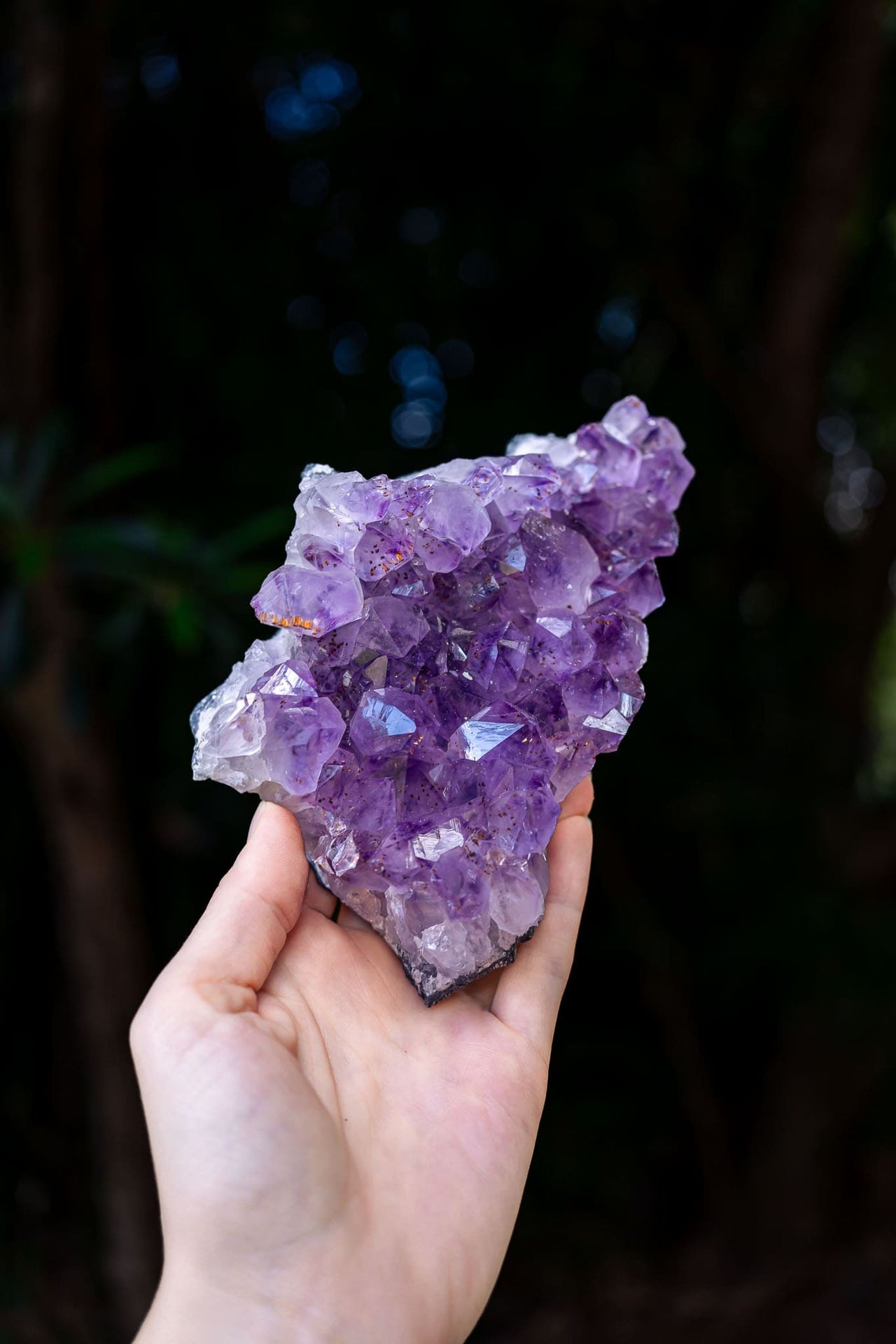 Amethyst Cluster