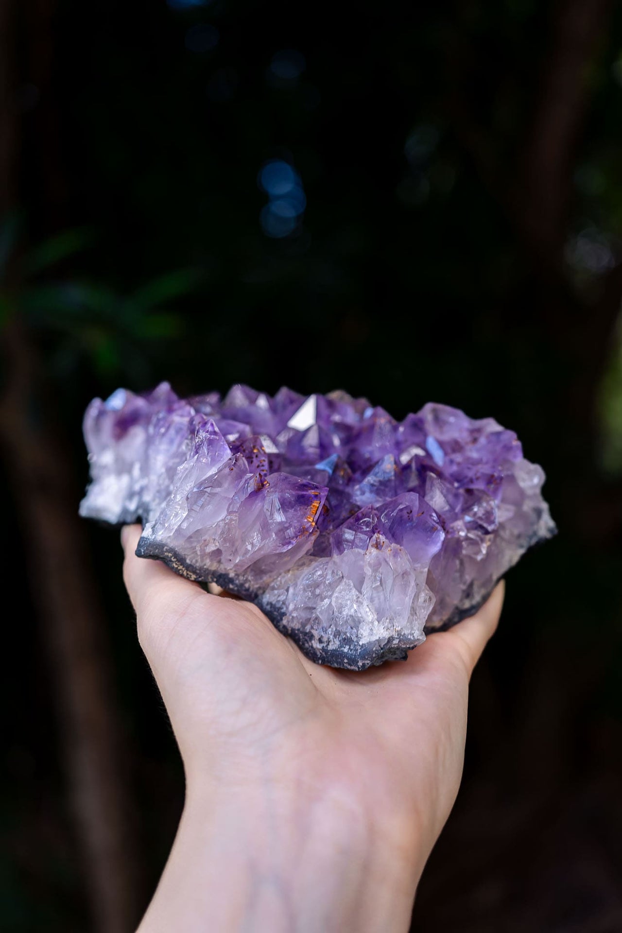 Amethyst Cluster