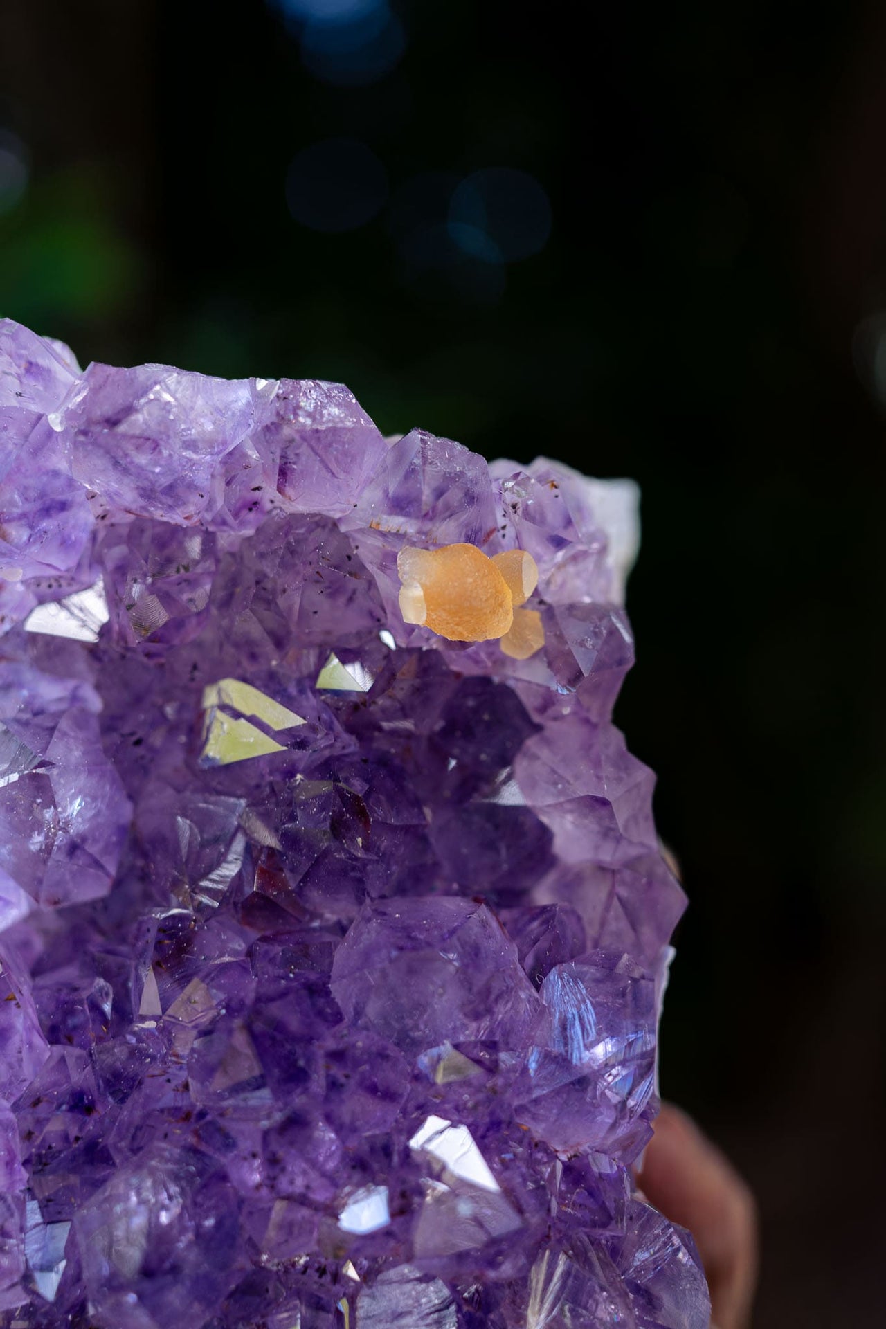 Amethyst Cluster