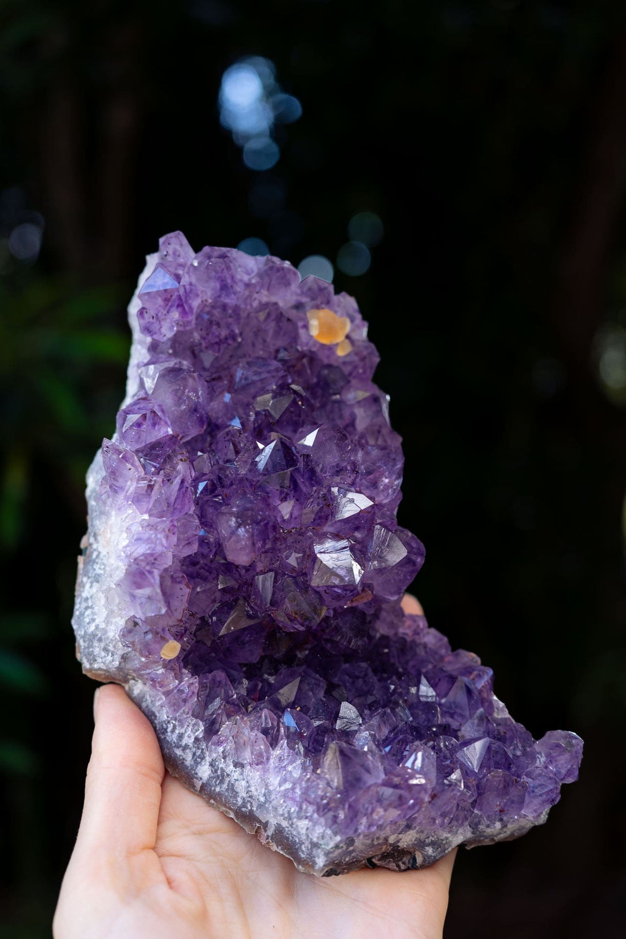 Amethyst Cluster