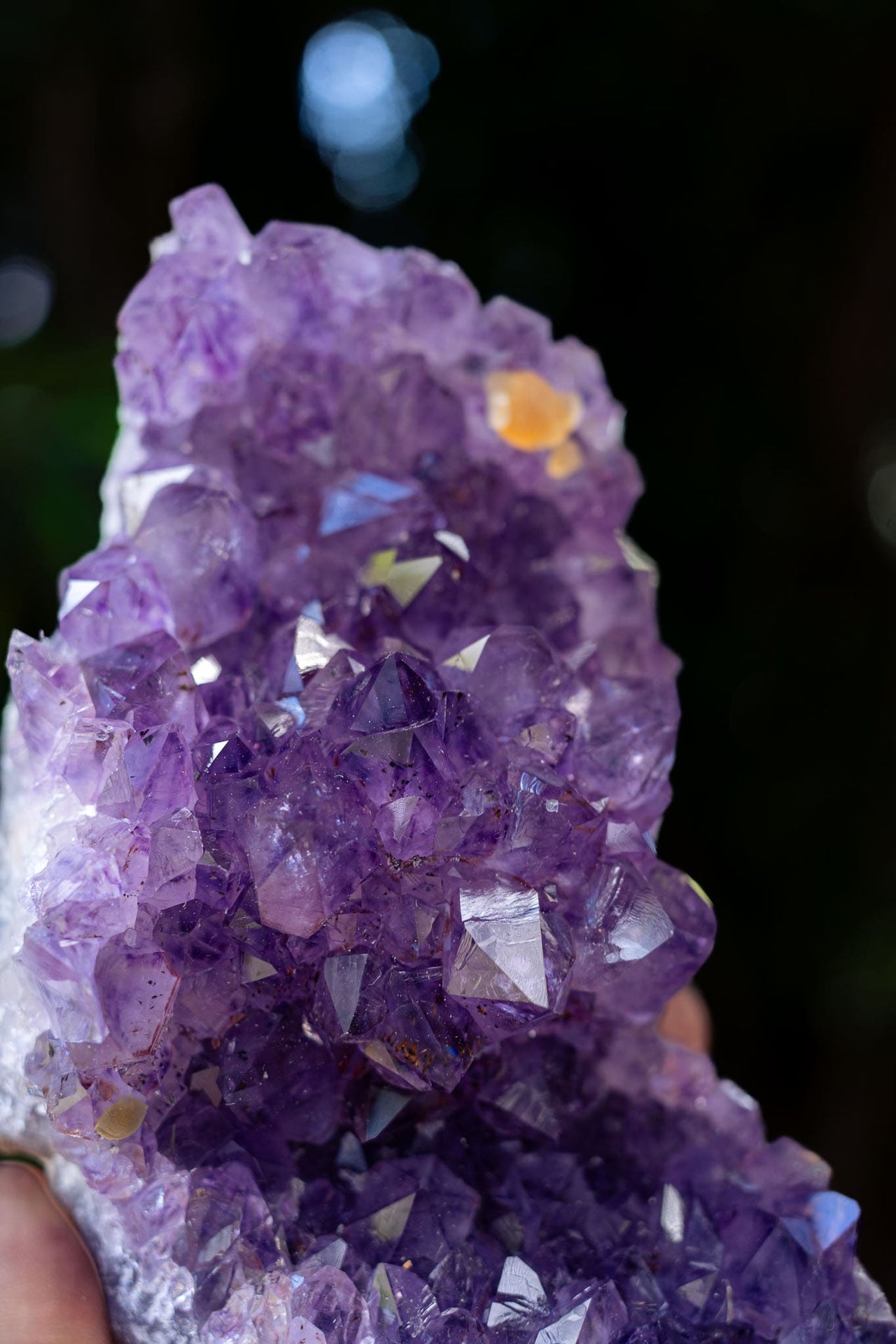 Amethyst Cluster