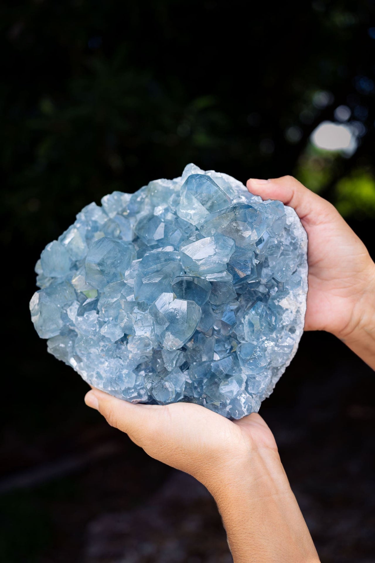 Large Celestite Cluster