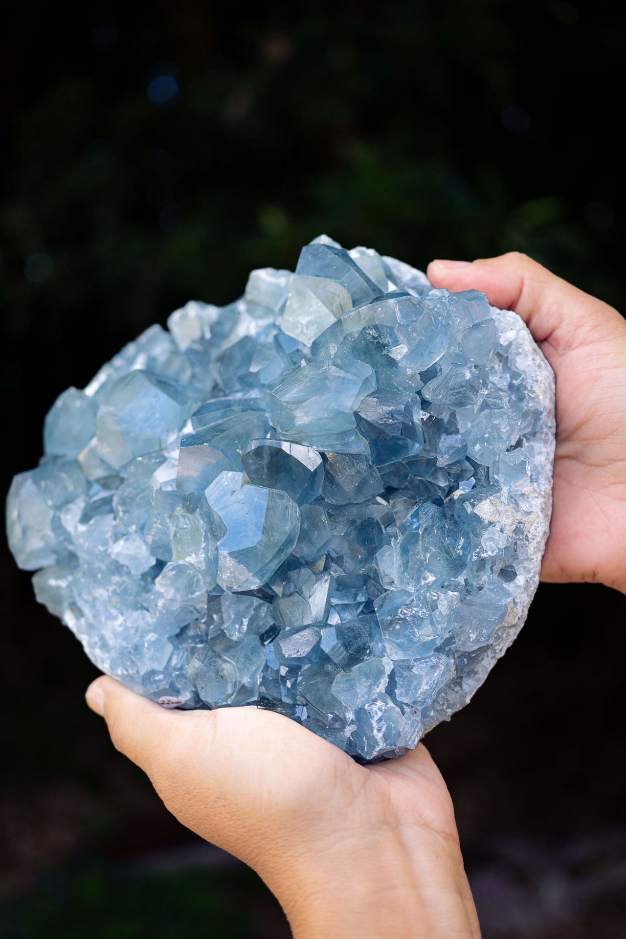 Large Celestite Cluster