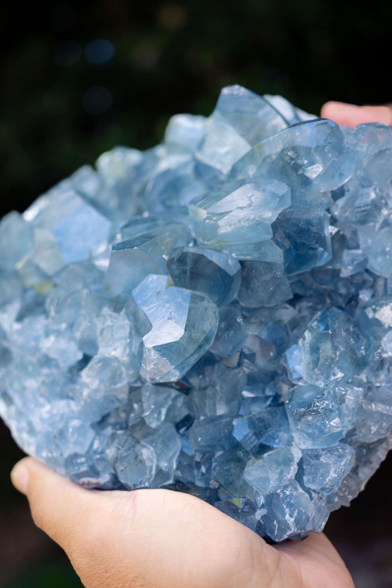 Large Celestite Cluster