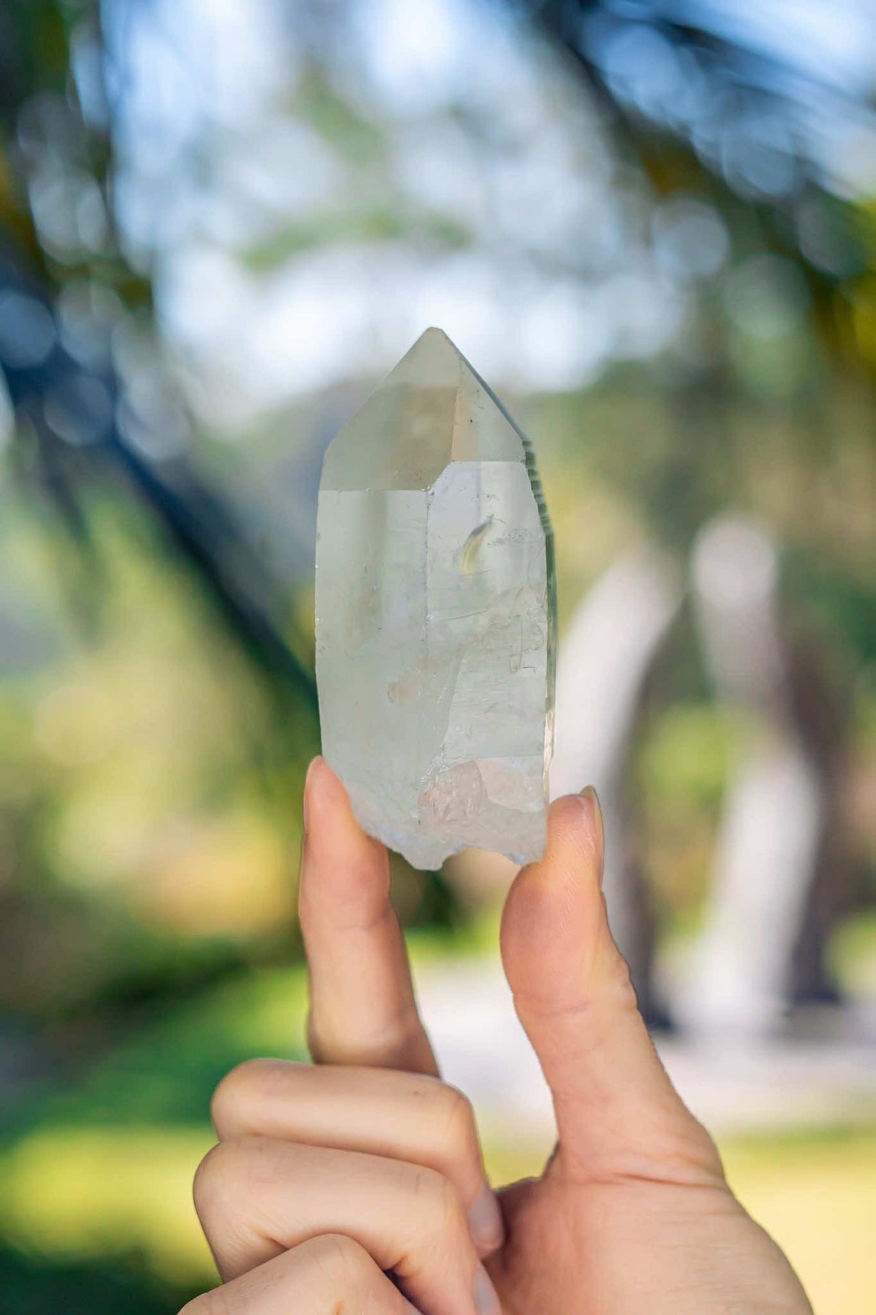 Lemurian Quartz Point