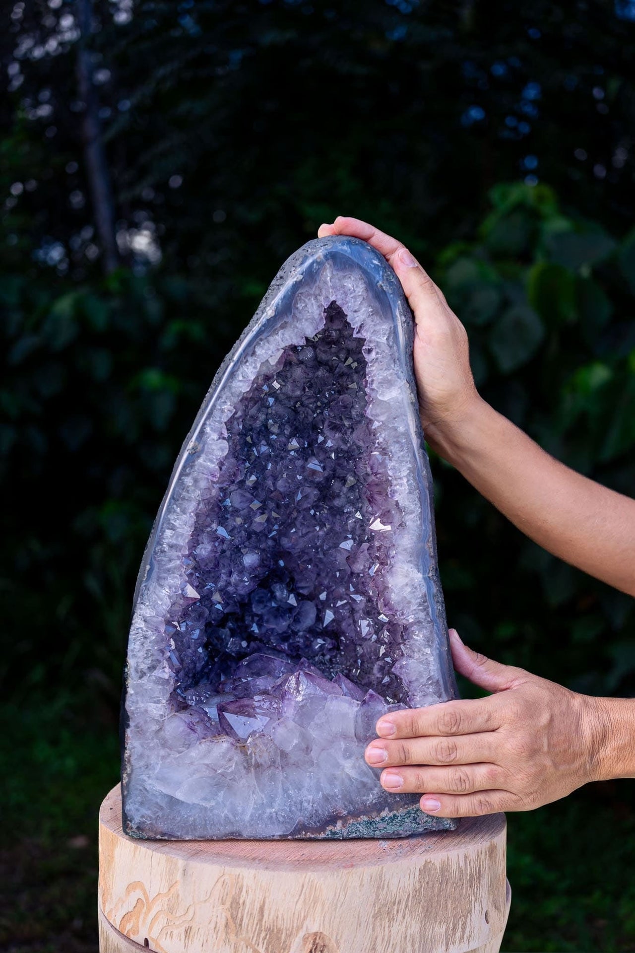 Amethyst Geode of Delight