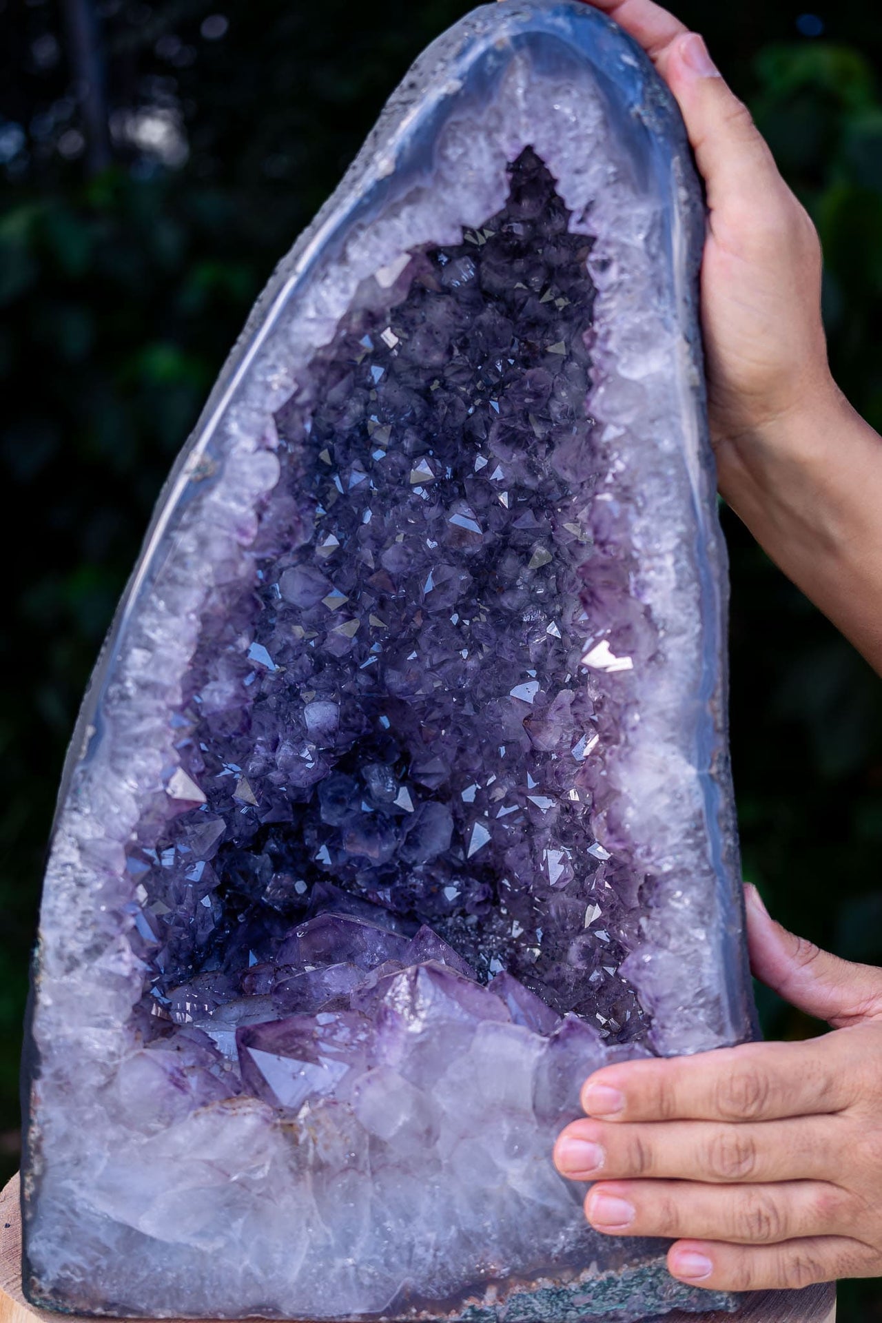 Amethyst Geode of Delight