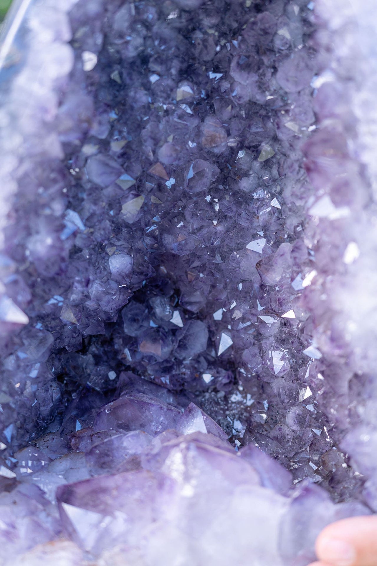 Amethyst Geode of Delight