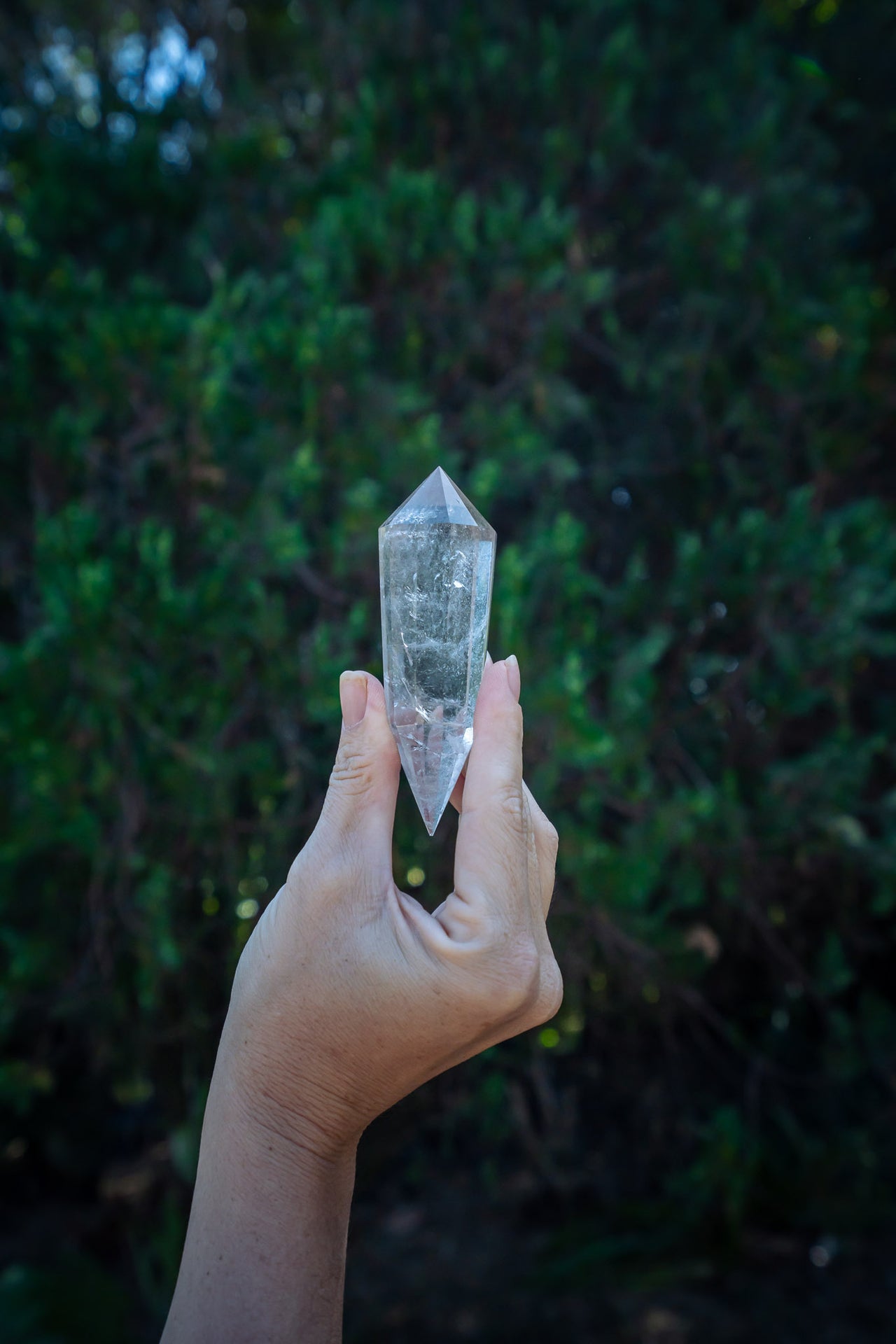 Clear Quartz Vogel