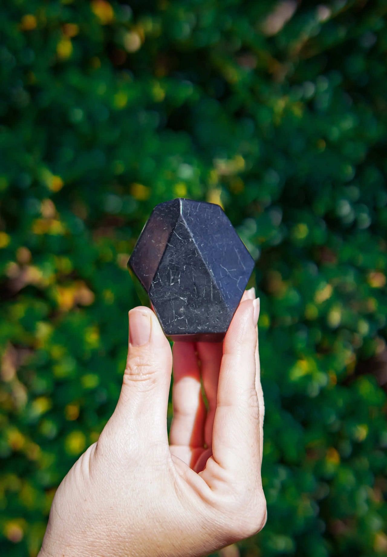 Faceted Shungite