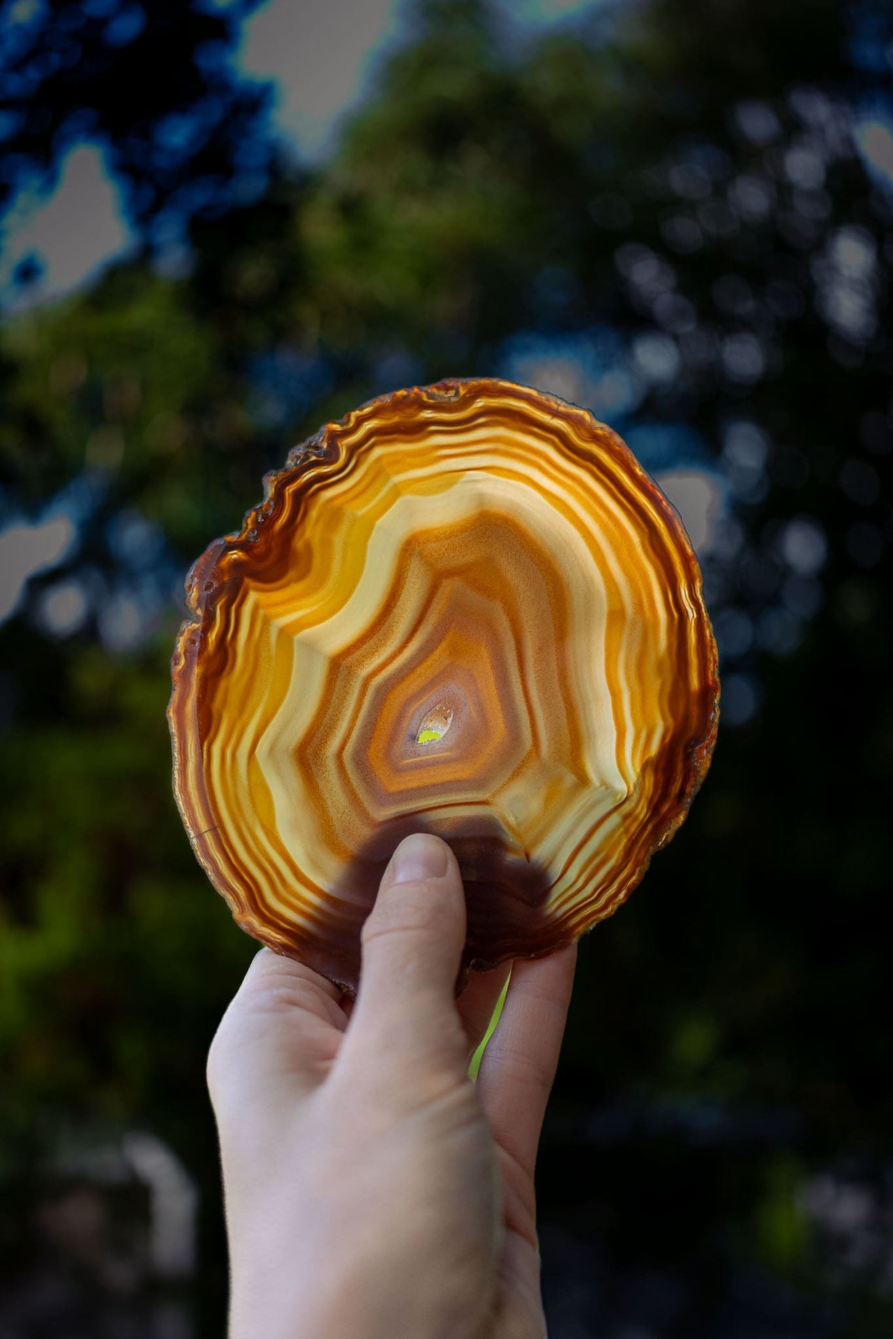 Natural Agate Slice