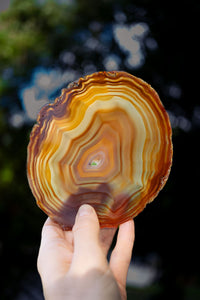 Thumbnail for Natural Agate Slice