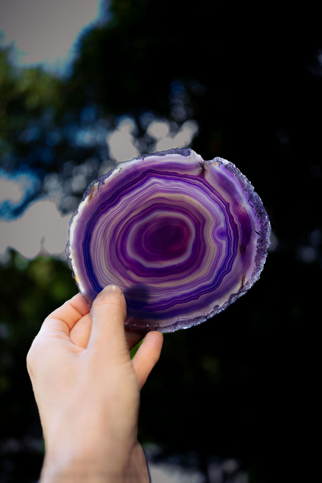 Purple Agate Slice