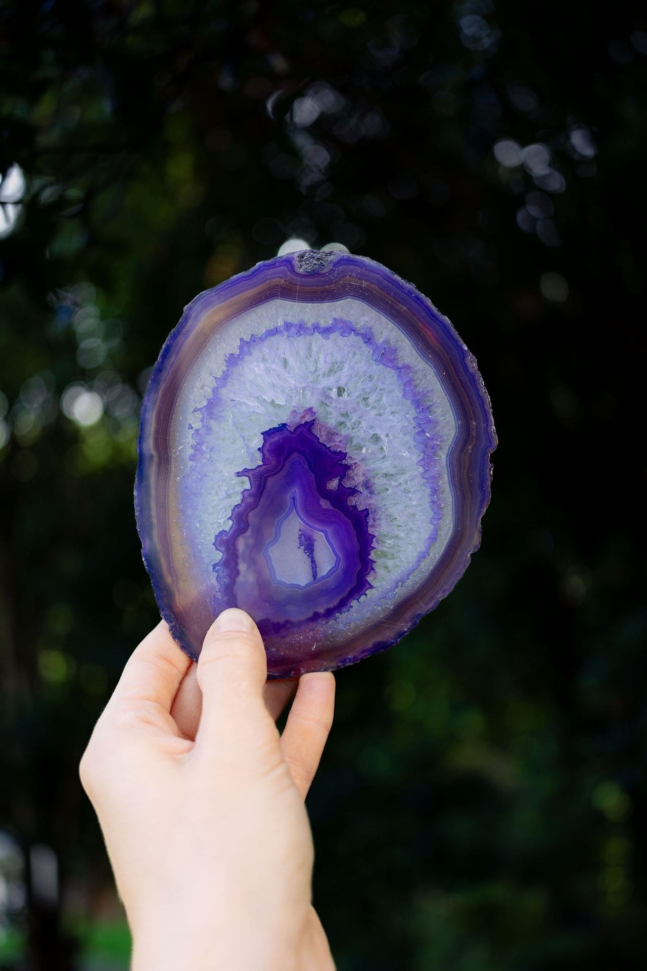 Purple Agate Slice