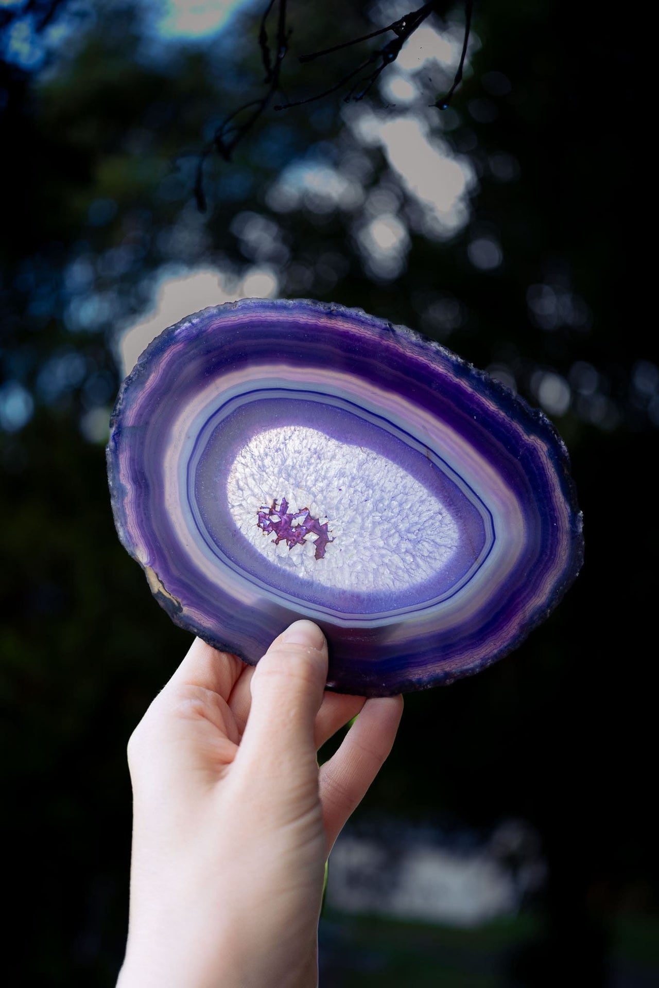 Purple Agate Slice