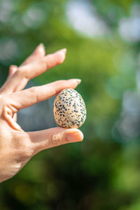 Thumbnail for Dalmation Jasper Egg