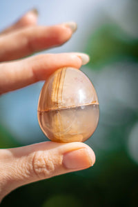Thumbnail for Agate Egg